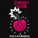 Табак Хулиган Hard - Cherry Boom (Кислая Вишня, 25 грамм) купить в Иркутске