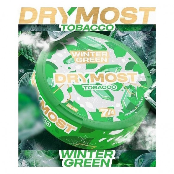 Табак жевательный DryMost - Winter Green (12 грамм) купить в Иркутске
