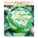 Табак жевательный DryMost - Winter Green (12 грамм) купить в Иркутске