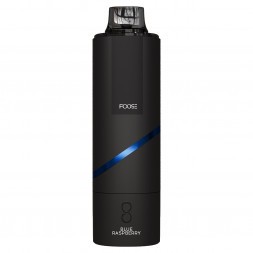 FOOSE BLACK - Голубая Малина (Blue Raspberry, 11000 затяжек)