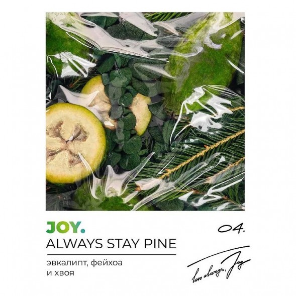 Табак Joy - Always Stay Pine (Эвкалипт, Фейхоа и Хвоя, 25 грамм) купить в Иркутске