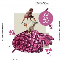Табак Palitra - Sour Rasp Berry (Кислая Малина, 40 грамм)