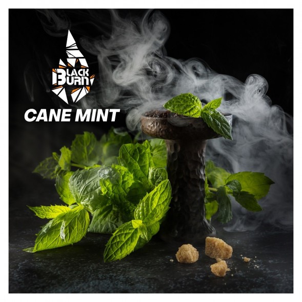 Табак BlackBurn - Cane Mint (Тростниковая Мята, 100 грамм) купить в Иркутске