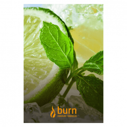 Табак Burn - Lemon Mint (Лимон с Мятой, 100 грамм)