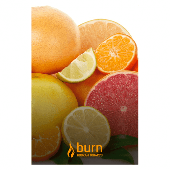 Табак Burn - Sundaysun (Цитрусовый Микс, 100 грамм) купить в Иркутске