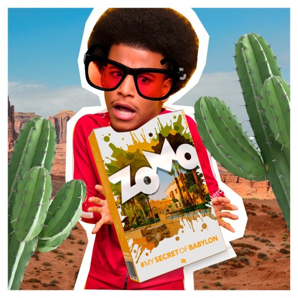 Табак Zomo - Secret Babylon (Сикрет Бабилон, 50 грамм) купить в Иркутске