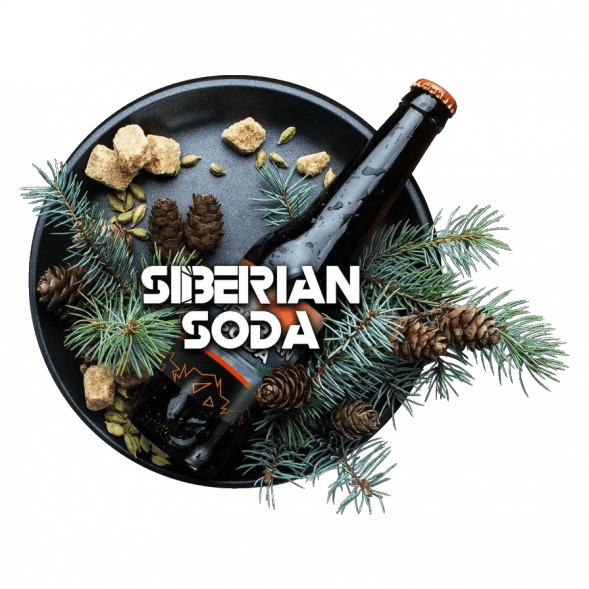 Табак BlackBurn - Siberian Soda (Лимонад Байкал, 100 грамм) купить в Иркутске