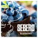 Табак Sebero - Blueberry (Голубика, 100 грамм) купить в Иркутске