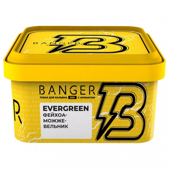Табак Banger - Evergreen (Фейхоа Можжевельник, 200 грамм) купить в Иркутске