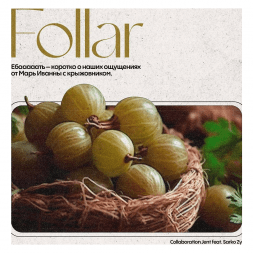 Табак Jent - Follar (Марь Иванна с Крыжовником, 200 грамм)