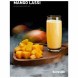 Табак DarkSide Core - MANGO LASSI (Манговый коктейль, 100 грамм) купить в Иркутске