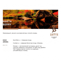 Табак Satyr - North Berry (Северная Ягода, 100 грамм)