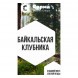 Табак Сарма - Байкальская Клубника (100 грамм) купить в Иркутске