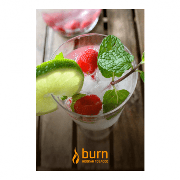 Табак Burn - Kamikaze (Лайм Малина Лед, 25 грамм) купить в Иркутске