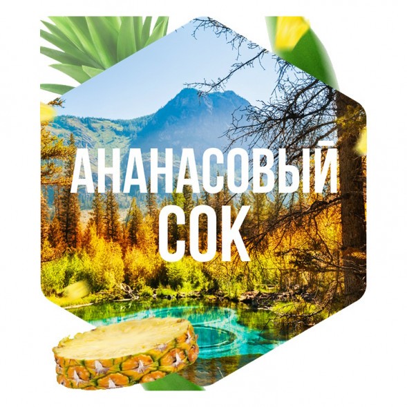 Табак Сарма - Ананасовый Сок (25 грамм) купить в Иркутске
