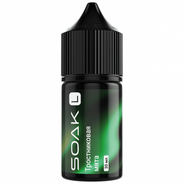 Жидкость SOAK L30 - Cane Mint (Тростниковая Мята, 30 мл, 2 мг) купить в Иркутске