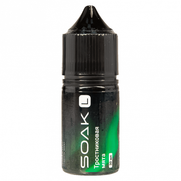 Жидкость SOAK L30 - Cane Mint (Тростниковая Мята, 30 мл, 2 мг) купить в Иркутске
