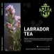 Табак Jent - Labrador Tea (Багульник и Саган Дайля, 25 грамм) купить в Иркутске