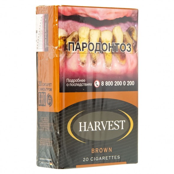 Сигареты Harvest - Brown King Size (блок 10 пачек) купить в Иркутске