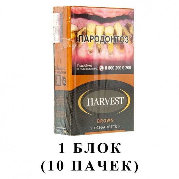 Сигареты Harvest - Brown King Size (блок 10 пачек) купить в Иркутске