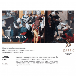 Табак Satyr - Raspberry (Малина, 200 грамм)