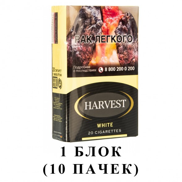 Сигареты Harvest - White King Size (блок 10 пачек) купить в Иркутске