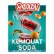 Табак Ready - №3 Kumquat Soda (Газировка, Кумкват, 25 грамм) купить в Иркутске