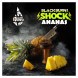 Табак BlackBurn - Ananas Shock (Кислый Ананас, 25 грамм) купить в Иркутске