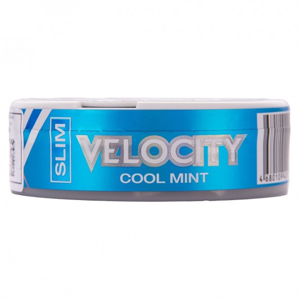 Табак жевательный DryMost - Velocity Mini (12 грамм) купить в Иркутске