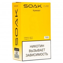 SOAK CUBE - Кумкват (7000 затяжек)