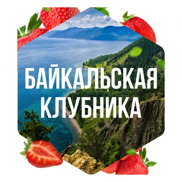Табак Сарма - Байкальская Клубника (40 грамм) купить в Иркутске
