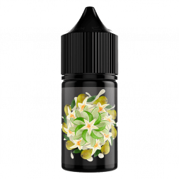 Жидкость SOAK L30 - Vanilla Pear (Ванильная Груша с Лаймом, 30 мл, 2 мг)