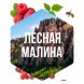 Табак Сарма - Лесная Малина (40 грамм) купить в Иркутске