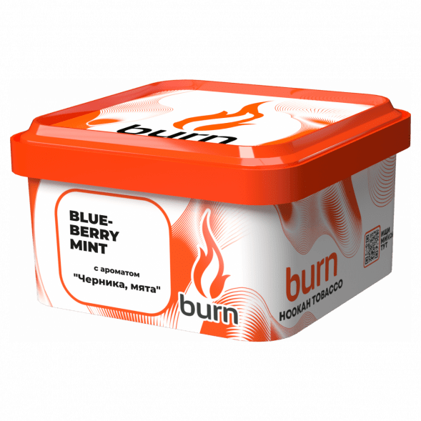 Табак Burn - Blueberry Mint (Черника с Мятой, 200 грамм) купить в Иркутске